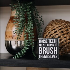 Shelf decor with sign that says - Those teeth aren't going to brush themselves