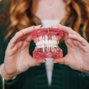 Close-up of dental model with implant visible in front teeth