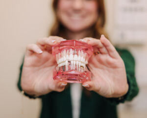 Hands holding a pink dental implant model showing tooth structure and gum placement