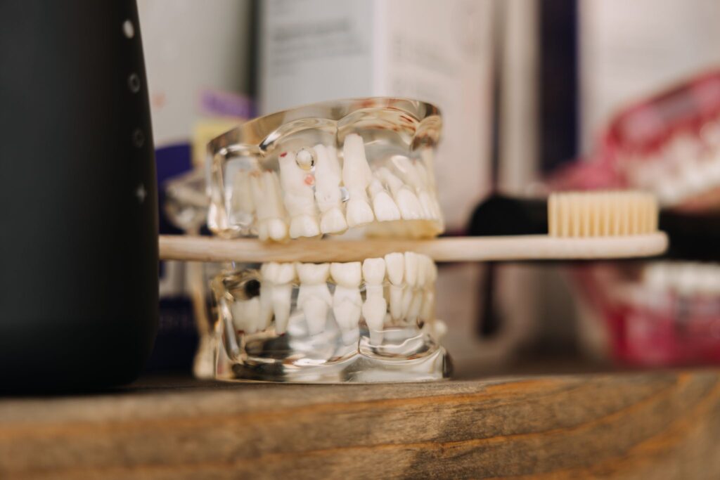 Toothbrush positioned in front of a dental model for demonstrating gentle brushing technique